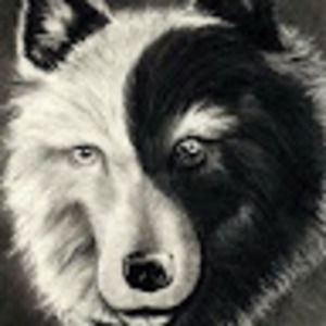 Meet your Posher, Cadejo